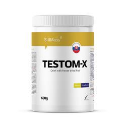 TESTOM-X  400g - citrom, fonya